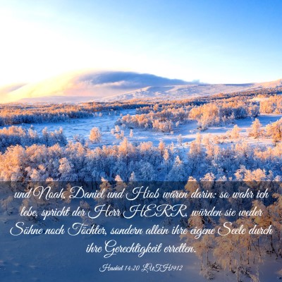 Picture 03 - Hesekiel 14:20 LUTH1912 - und Noah, Daniel und Hiob wären darin: so wahr - Bible Verse Picture