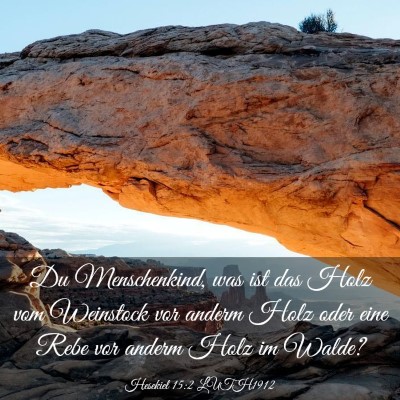 Picture 03 - Hesekiel 15:2 LUTH1912 - Du Menschenkind, was ist das Holz vom Weinstock - Bible Verse Picture