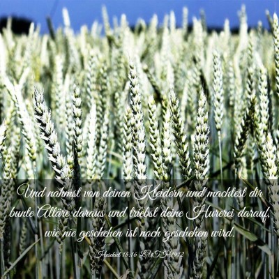 Picture 03 - Hesekiel 16:16 LUTH1912 - Und nahmst von deinen Kleidern und machtest dir - Bible Verse Picture