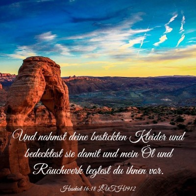 Picture 03 - Hesekiel 16:18 LUTH1912 - Und nahmst deine bestickten Kleider und - Bible Verse Picture