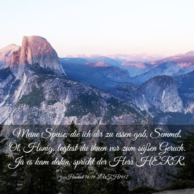 Picture 03 - Hesekiel 16:19 LUTH1912 - Meine Speise, die ich dir zu essen gab, Semmel, - Bible Verse Picture