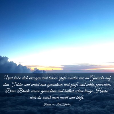 Picture 03 - Hesekiel 16:7 LUTH1912 - Und habe dich erzogen und lassen groß werden wie - Bible Verse Picture