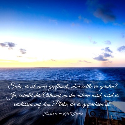 Picture 03 - Hesekiel 17:10 LUTH1912 - Siehe, er ist zwar gepflanzt; aber sollte er - Bible Verse Picture
