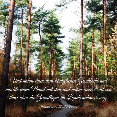 Picture 03 - Hesekiel 17:13 LUTH1912 - Und nahm einen vom königlichen Geschlecht und - Bible Verse Picture