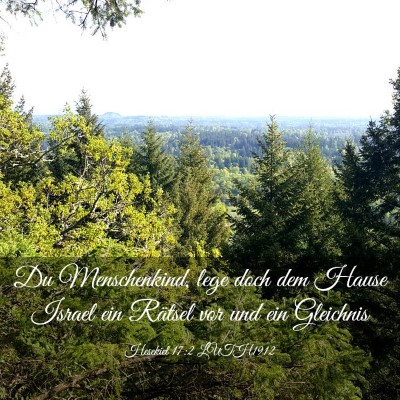 Picture 03 - Hesekiel 17:2 LUTH1912 - Du Menschenkind, lege doch dem Hause Israel ein - Bible Verse Picture