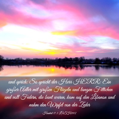 Picture 03 - Hesekiel 17:3 LUTH1912 - und sprich: So spricht der Herr HERR: Ein großer - Bible Verse Picture