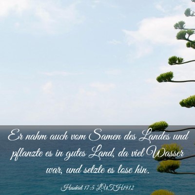 Picture 03 - Hesekiel 17:5 LUTH1912 - Er nahm auch vom Samen des Landes und pflanzte es - Bible Verse Picture