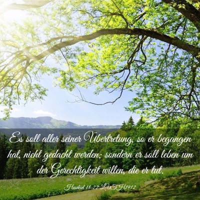 Picture 03 - Hesekiel 18:22 LUTH1912 - Es soll aller seiner Übertretung, so er begangen - Bible Verse Picture