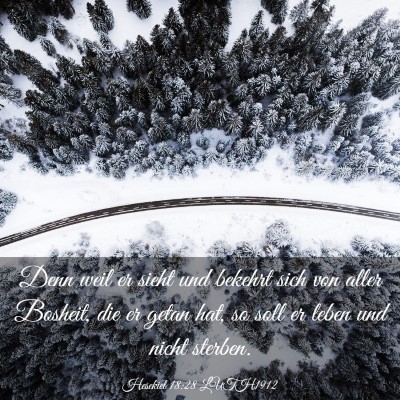 Picture 03 - Hesekiel 18:28 LUTH1912 - Denn weil er sieht und bekehrt sich von aller - Bible Verse Picture