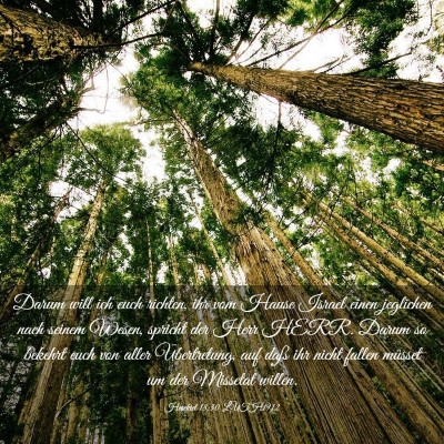 Picture 03 - Hesekiel 18:30 LUTH1912 - Darum will ich euch richten, ihr vom Hause Israel - Bible Verse Picture