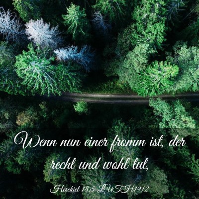 Picture 03 - Hesekiel 18:5 LUTH1912 - Wenn nun einer fromm ist, der recht und wohl - Bible Verse Picture