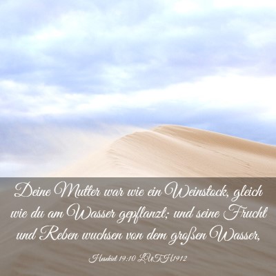 Picture 03 - Hesekiel 19:10 LUTH1912 - Deine Mutter war wie ein Weinstock, gleich wie du - Bible Verse Picture