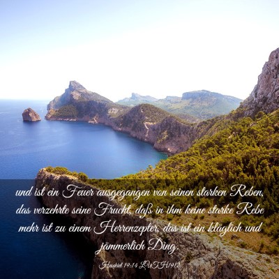 Picture 03 - Hesekiel 19:14 LUTH1912 - und ist ein Feuer ausgegangen von seinen starken - Bible Verse Picture
