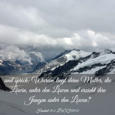 Picture 03 - Hesekiel 19:2 LUTH1912 - und sprich: Warum liegt deine Mutter, die Löwin, - Bible Verse Picture