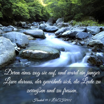 Picture 03 - Hesekiel 19:3 LUTH1912 - Deren eines zog sie auf, und ward ein junger - Bible Verse Picture