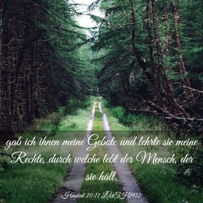 Picture 03 - Hesekiel 20:11 LUTH1912 - gab ich ihnen meine Gebote und lehrte sie meine - Bible Verse Picture