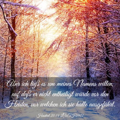 Picture 03 - Hesekiel 20:14 LUTH1912 - Aber ich ließ es um meines Namens willen, auf - Bible Verse Picture