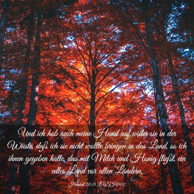 Picture 03 - Hesekiel 20:15 LUTH1912 - Und ich hob auch meine Hand auf wider sie in der - Bible Verse Picture
