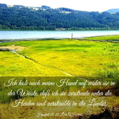 Picture 03 - Hesekiel 20:23 LUTH1912 - Ich hob auch meine Hand auf wider sie in der - Bible Verse Picture