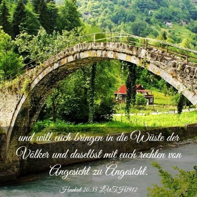 Picture 03 - Hesekiel 20:35 LUTH1912 - und will euch bringen in die Wüste der Völker - Bible Verse Picture
