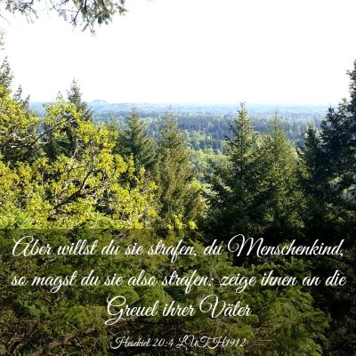 Picture 03 - Hesekiel 20:4 LUTH1912 - Aber willst du sie strafen, du Menschenkind, so - Bible Verse Picture