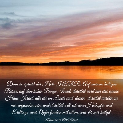 Picture 03 - Hesekiel 20:40 LUTH1912 - Denn so spricht der Herr HERR: Auf meinem - Bible Verse Picture