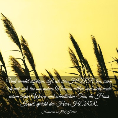 Picture 03 - Hesekiel 20:44 LUTH1912 - Und werdet erfahren, daß ich der HERR bin, wenn - Bible Verse Picture