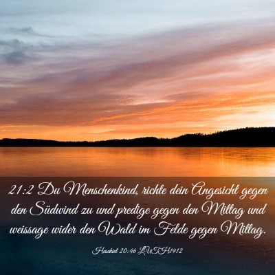 Picture 03 - Hesekiel 20:46 LUTH1912 - 21:2 Du Menschenkind, richte dein Angesicht gegen - Bible Verse Picture
