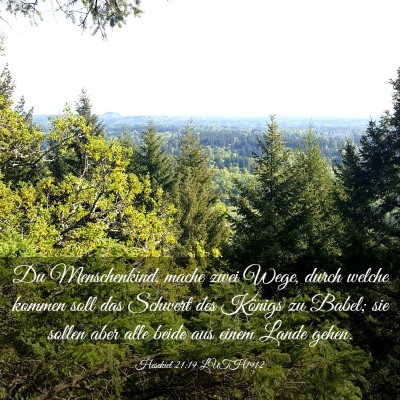 Picture 03 - Hesekiel 21:19 LUTH1912 - Du Menschenkind, mache zwei Wege, durch welche - Bible Verse Picture