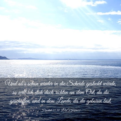Picture 03 - Hesekiel 21:30 LUTH1912 - Und ob's schon wieder in die Scheide gesteckt - Bible Verse Picture