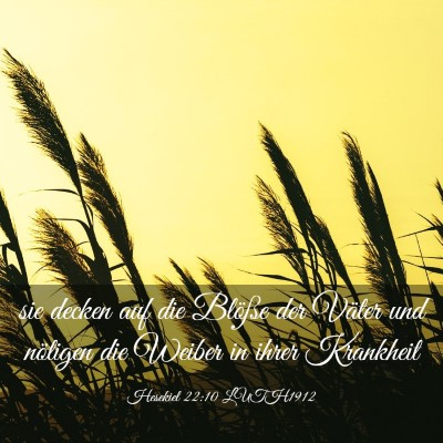 Picture 03 - Hesekiel 22:10 LUTH1912 - sie decken auf die Blöße der Väter und - Bible Verse Picture