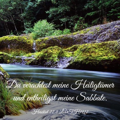 Picture 03 - Hesekiel 22:8 LUTH1912 - Du verachtest meine Heiligtümer und entheiligst - Bible Verse Picture