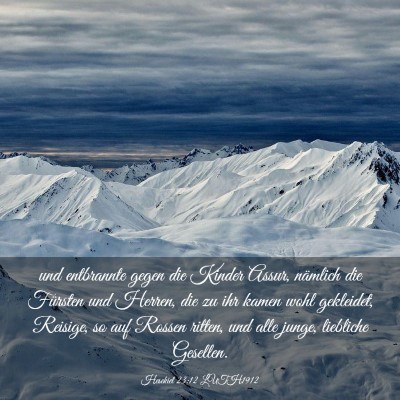 Picture 03 - Hesekiel 23:12 LUTH1912 - und entbrannte gegen die Kinder Assur, nämlich - Bible Verse Picture