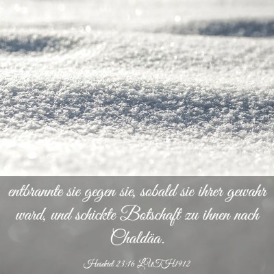 Picture 03 - Hesekiel 23:16 LUTH1912 - entbrannte sie gegen sie, sobald sie ihrer gewahr - Bible Verse Picture
