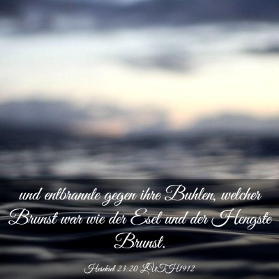 Picture 03 - Hesekiel 23:20 LUTH1912 - und entbrannte gegen ihre Buhlen, welcher Brunst - Bible Verse Picture