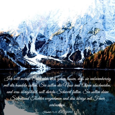 Picture 03 - Hesekiel 23:25 LUTH1912 - Ich will meinen Eifer über dich gehen lassen, - Bible Verse Picture