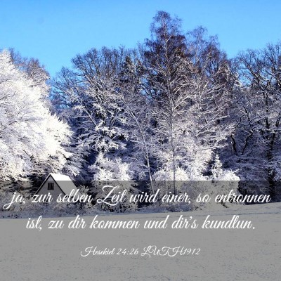 Picture 03 - Hesekiel 24:26 LUTH1912 - ja, zur selben Zeit wird einer, so entronnen ist, - Bible Verse Picture