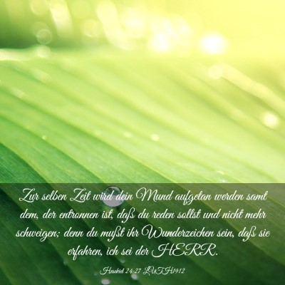 Picture 03 - Hesekiel 24:27 LUTH1912 - Zur selben Zeit wird dein Mund aufgetan werden - Bible Verse Picture