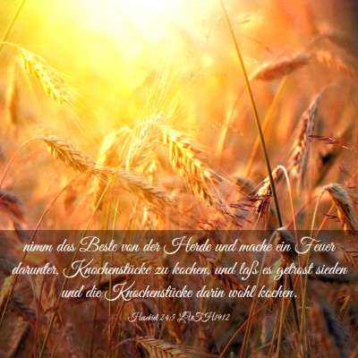 Picture 03 - Hesekiel 24:5 LUTH1912 - nimm das Beste von der Herde und mache ein Feuer - Bible Verse Picture