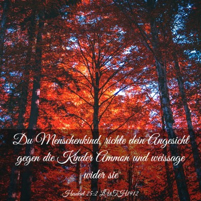 Picture 03 - Hesekiel 25:2 LUTH1912 - Du Menschenkind, richte dein Angesicht gegen die - Bible Verse Picture