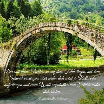 Picture 03 - Hesekiel 26:8 LUTH1912 - Der soll deine Töchter, so auf dem Felde liegen, - Bible Verse Picture