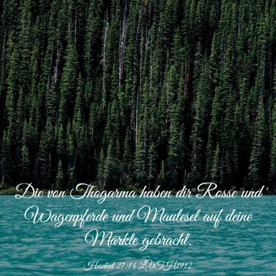 Picture 03 - Hesekiel 27:14 LUTH1912 - Die von Thogarma haben dir Rosse und Wagenpferde - Bible Verse Picture