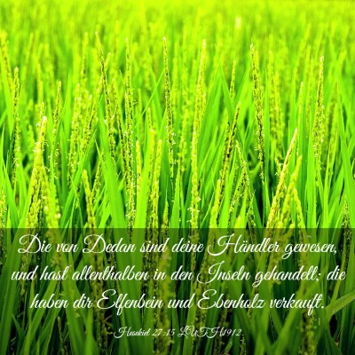 Picture 03 - Hesekiel 27:15 LUTH1912 - Die von Dedan sind deine Händler gewesen, und - Bible Verse Picture