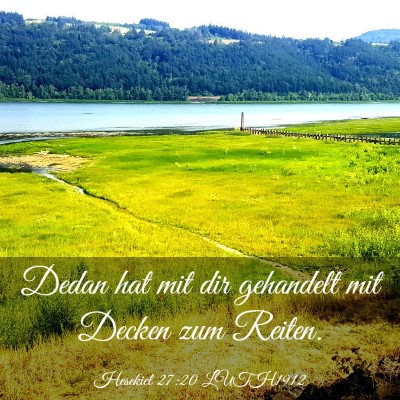 Picture 03 - Hesekiel 27:20 LUTH1912 - Dedan hat mit dir gehandelt mit Decken zum - Bible Verse Picture