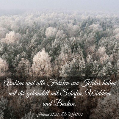 Picture 03 - Hesekiel 27:21 LUTH1912 - Arabien und alle Fürsten von Kedar haben mit dir - Bible Verse Picture