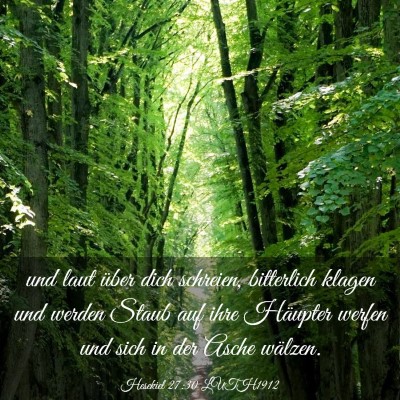 Picture 03 - Hesekiel 27:30 LUTH1912 - und laut über dich schreien, bitterlich klagen - Bible Verse Picture