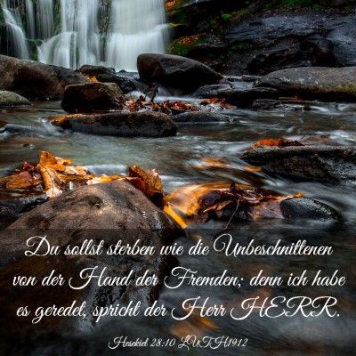 Picture 03 - Hesekiel 28:10 LUTH1912 - Du sollst sterben wie die Unbeschnittenen von der - Bible Verse Picture