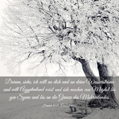 Picture 03 - Hesekiel 29:10 LUTH1912 - Darum, siehe, ich will an dich und an deine - Bible Verse Picture