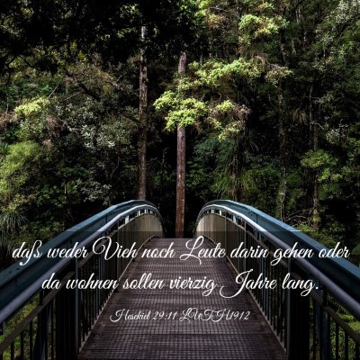 Picture 03 - Hesekiel 29:11 LUTH1912 - daß weder Vieh noch Leute darin gehen oder da - Bible Verse Picture