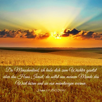Picture 03 - Hesekiel 3:17 LUTH1912 - Du Menschenkind, ich habe dich zum Wächter - Bible Verse Picture